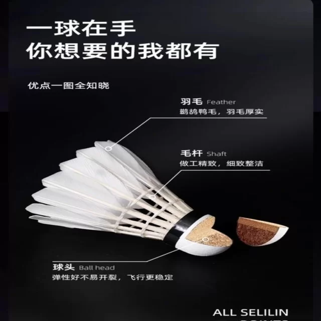 训练备战新闻聚焦：阵容视角全新解读